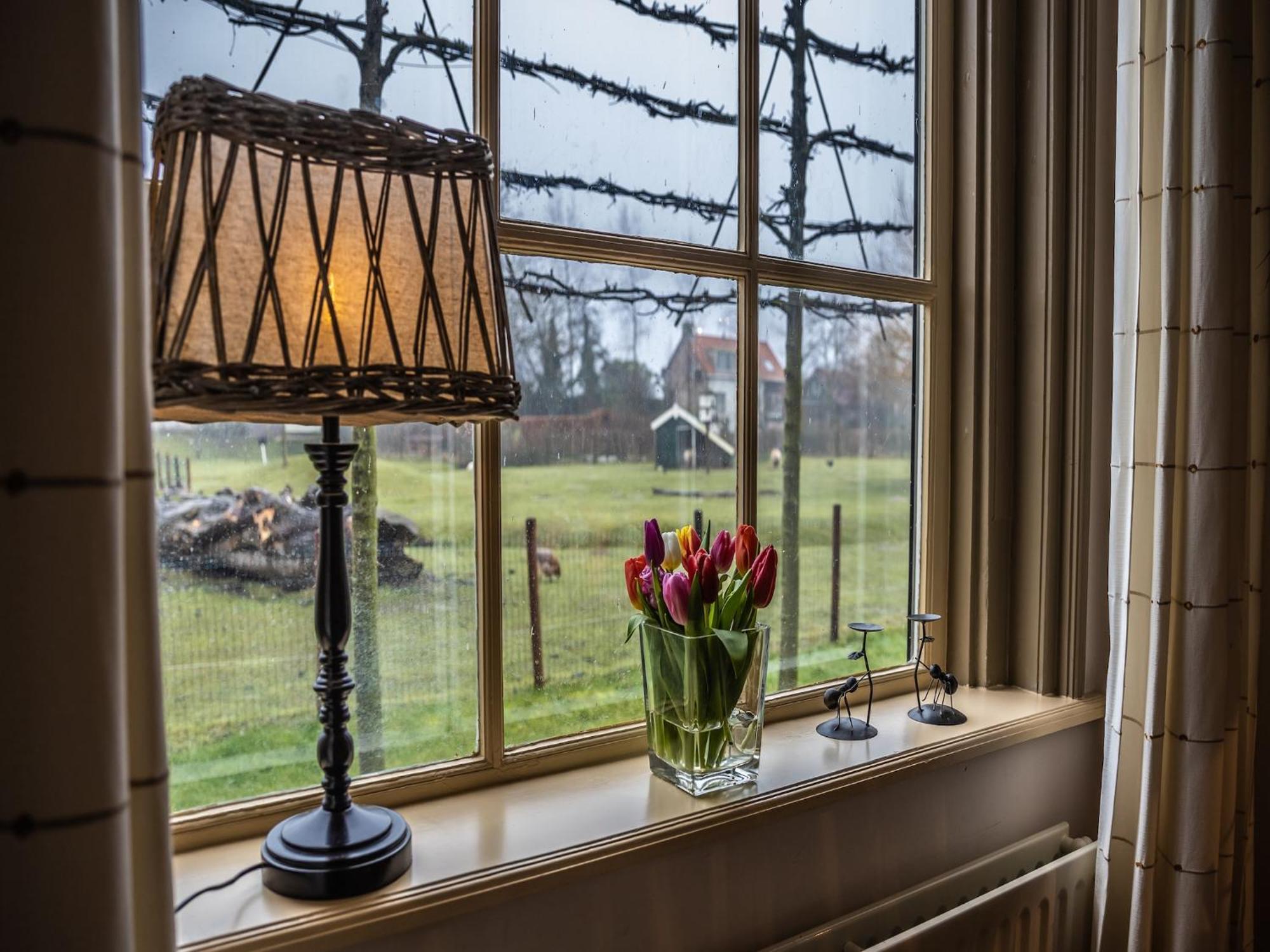 Cozy Holiday Home In Vrouwenpolder Close To The Beach Exterior photo